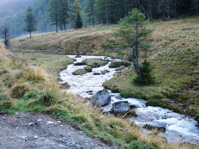 Bild 17 aus  Suntinger Kasa