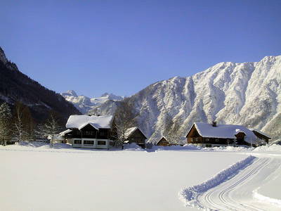 Bild 161 aus  Stanglhof