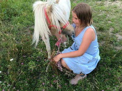 Bild 76 aus  Almchalet Nikola