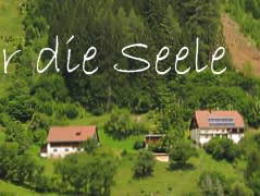 Bild 49 aus  Almhütte Hermenegild        