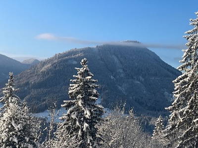 Bild 93 aus  Ascherhof