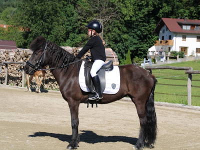 Bild 15 aus  Strassergut