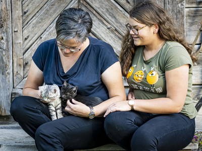 Bild 43 aus  Köck-Chalet
