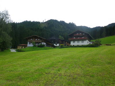 Bild 16 aus  Traglehen