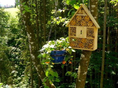 Bild 65 aus  Dichtlhof