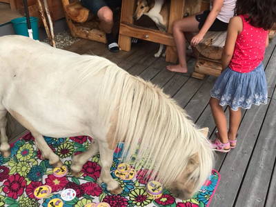 Bild 73 aus  Almchalet Nikola