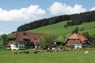 Ingritthof - Bild 1