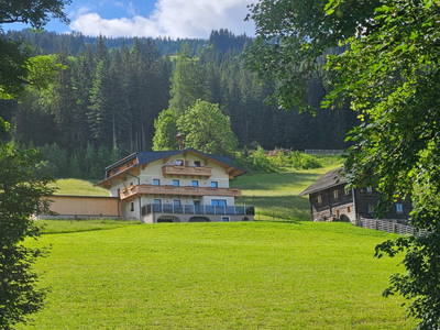Bild 18 aus  Peterlehen