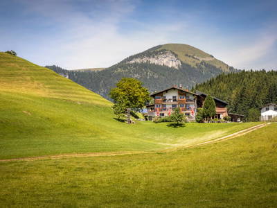 Bild 20 aus  Bachrain - Bio am Berg 