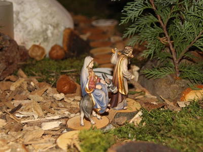 Bild 55 aus  Pfeiferhof