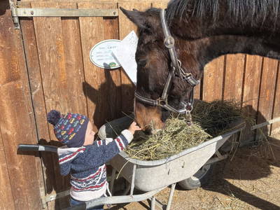 Bild 59 aus  Madritschhof