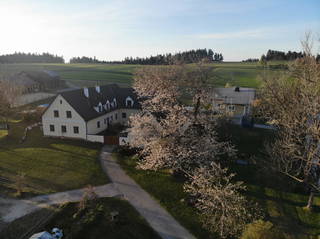 Hacklhof aus Ottenschlag