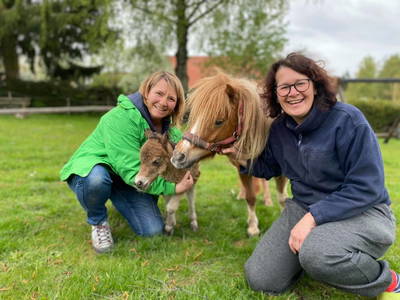 Bild 9 aus  Ferien-Landhaus-Isolde