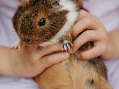 Bild 51 aus  LandSelection Bussjägerhof