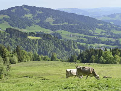 Bild 18 aus  UNSER VORSÄSS - Klausberg