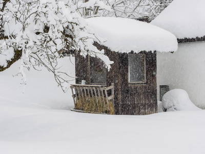 Bild 50 aus  Häuslhof