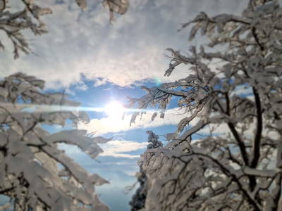 Bild 189 aus  Ferienhof Rabenreith