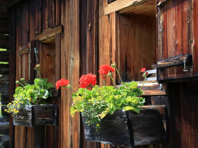 Bild 14 aus  Thürerhütte