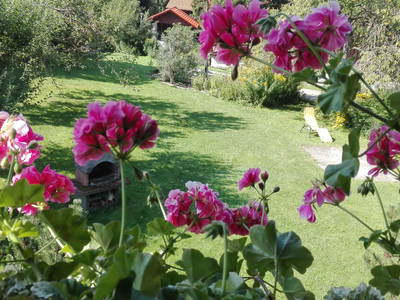 Bild 39 aus  Bräuhauser