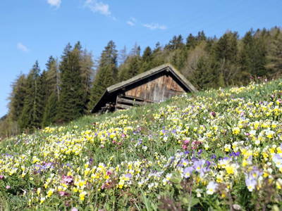 Bild 67 aus  Landhaus Eiter