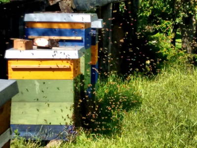 Bild 27 aus  Ferienhaus Weinmeyer 