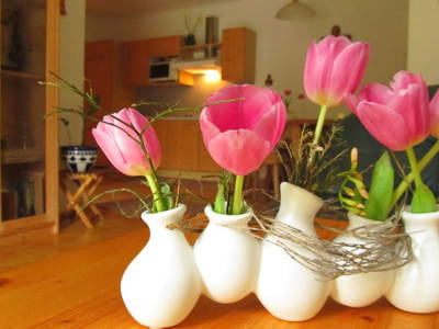 Bild 57 aus  Weingut Dietl - Der Abdruck des Genusses ****