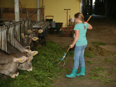 Bild 65 aus Linarhof