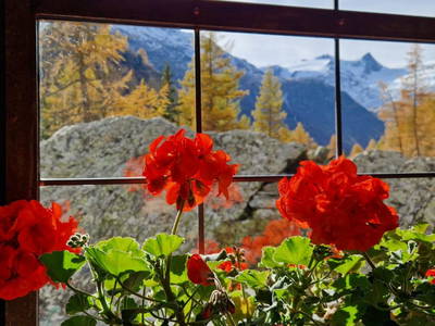 Bild 207 aus  Klampererhof-Gesundheitsbauernhof
