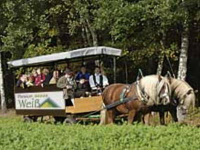 Bild 4 aus  Ferienhof Pension Weiß