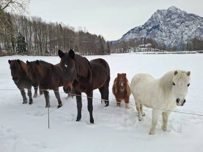 Bild 75 aus  Unteres Feld