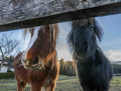Bild 9 aus  Riedhof-Zuahaus