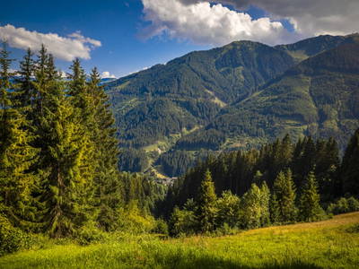 Bild 54 aus  Lienbichl