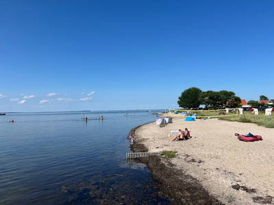 Bild 12 aus  Gut Buckhagen