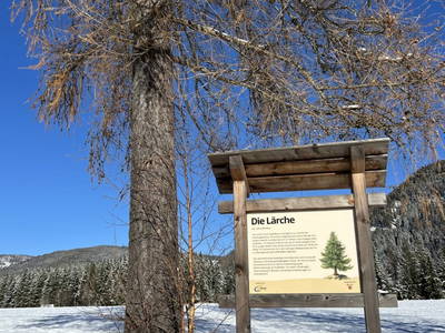 Bild 161 aus  Glatz Hof