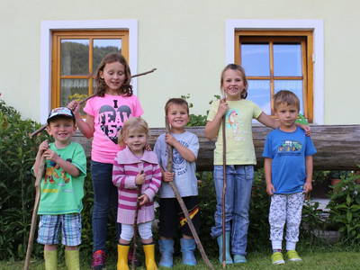 Bild 53 aus  Reitlhof am Sonnenhang   Bio-Bergbauernhof bei Salzburg 