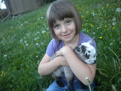 Bild 43 aus  Kürbishof 