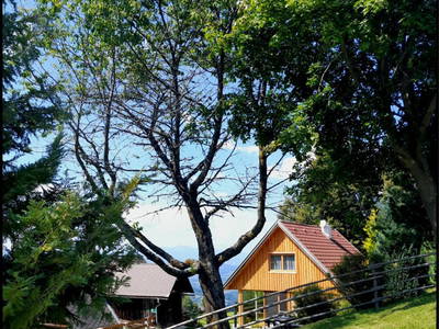 Bild 5 aus  Dohrhütte