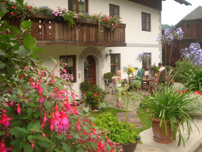 Bild 2 aus  Blumenhof Elfi