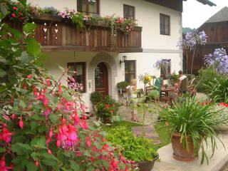 Blumenhof Elfi aus Stockenboi