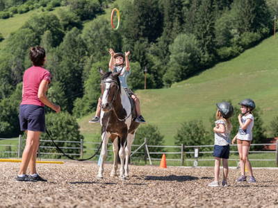 Bild 188 aus  Bio Bauernhof Tobhartbauer