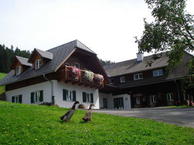 Bild 55 aus  Pieber-Staberhof