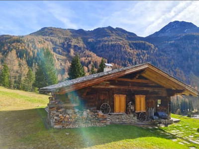 Bild 13 aus Schuster Alm
