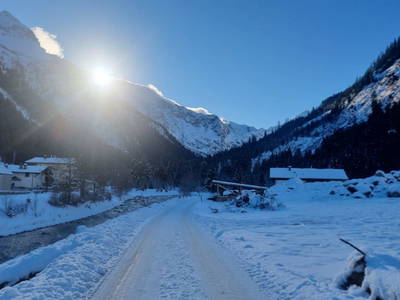 Bild 161 aus  Alfaierhof & Bergheimat