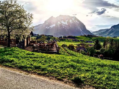 Bild 34 aus  Hüttstädterhof