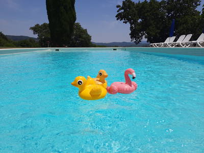 Bild 15 aus  Toscana Ferienhaus Podere di Gualda