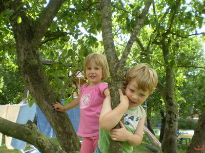 Bild 18 aus  Ommen Ferienhof