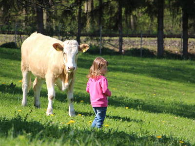 Bild 14 aus  Döllelhof Erding