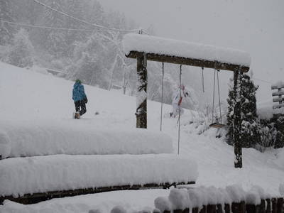Bild 9 aus  Marschalkhof    Urlaub auf dem Bauernhof