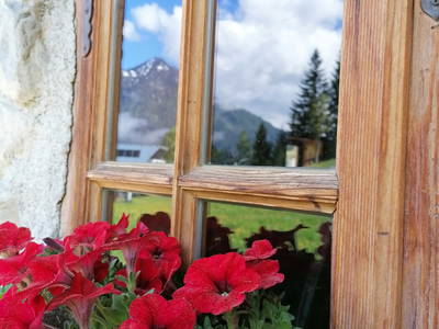 Bild 29 aus  Bifeis Hütte Ferienwohnungen Altenmarkt Zauchensee
