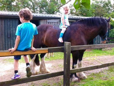 Bild 6 aus  Ferienhof Wisch an der Ostsee